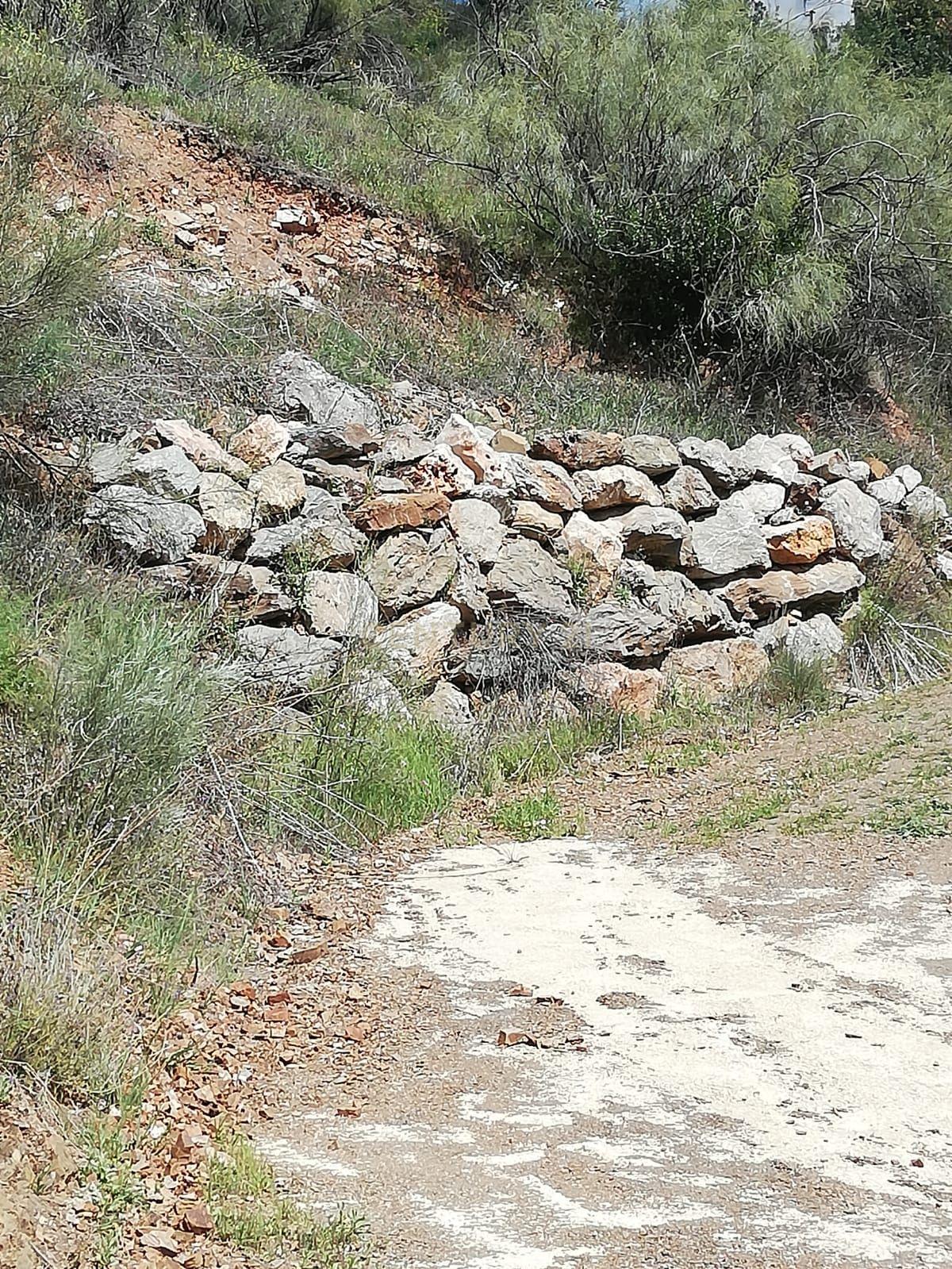 undefined - Image 13