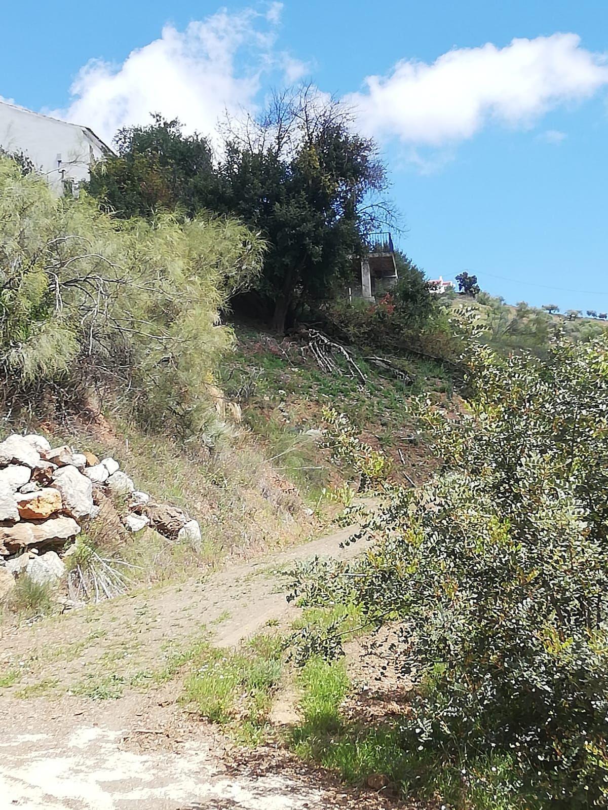 undefined - Image 14