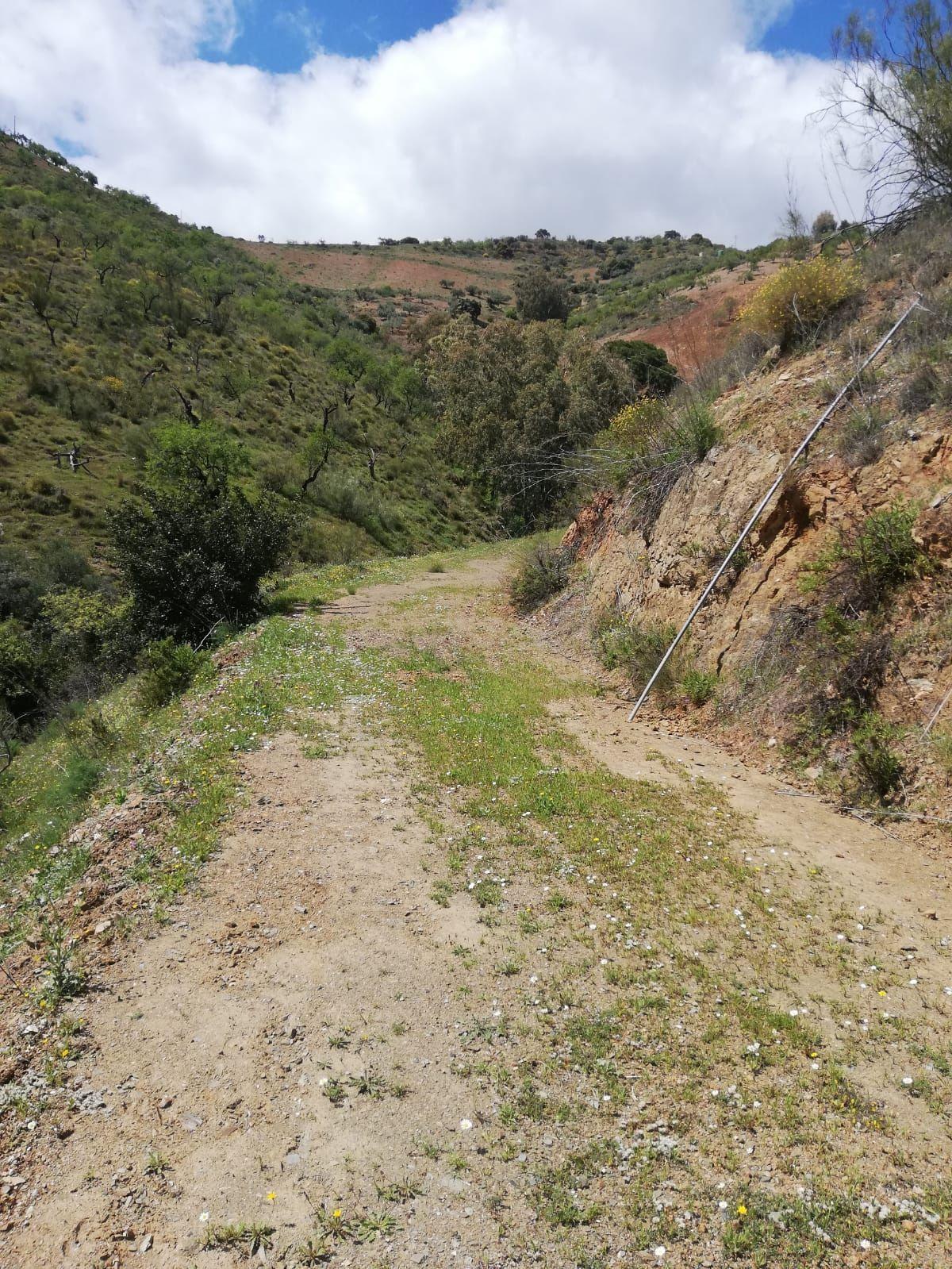 undefined - Image 10