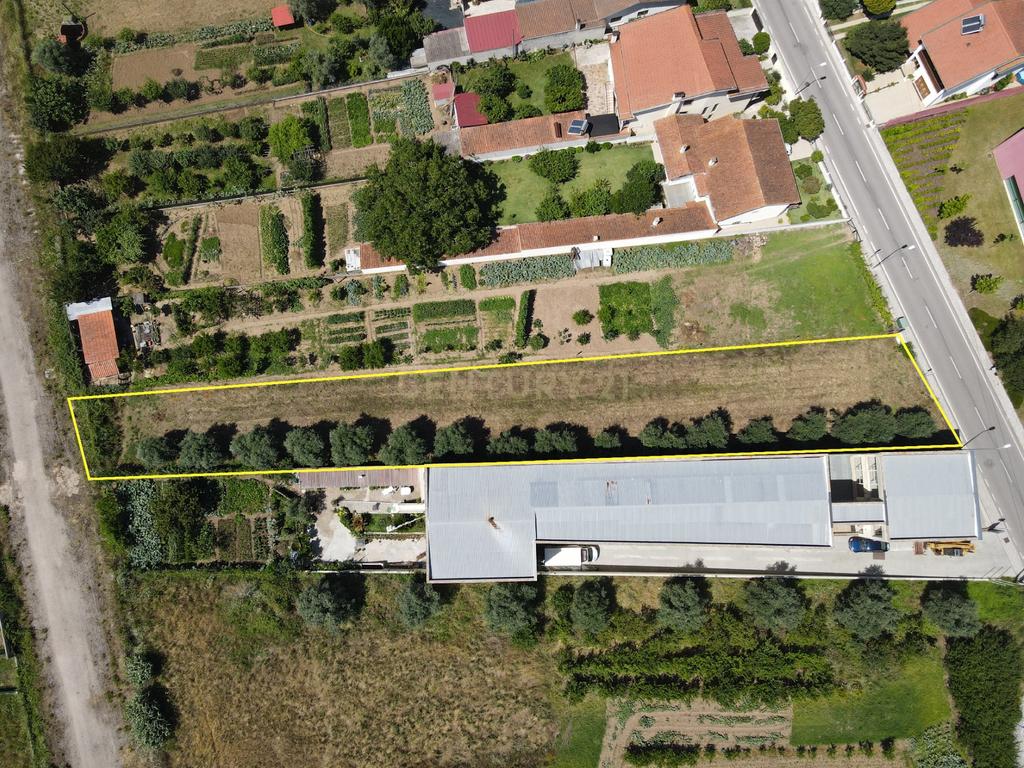 Terreno para construção - Miranda do Corvo - Image 4