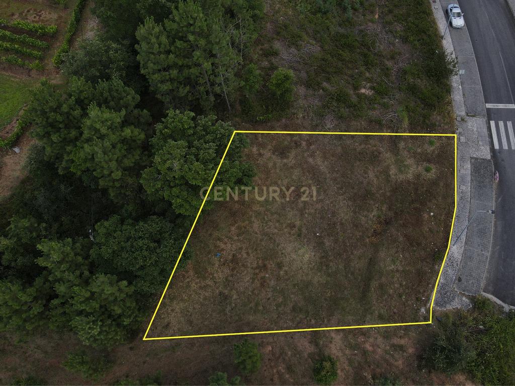 Lote de Terreno para Construção - Coimbra - Image 5