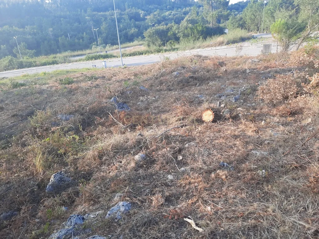 Lote de terreno para construção de moradia unifamiliar em Barrocal - Image 10