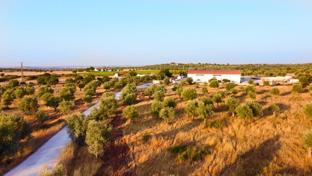 Terreno rústico com 135.500 m2 em solo urbano, urbanizável - em Estremoz - Image 5