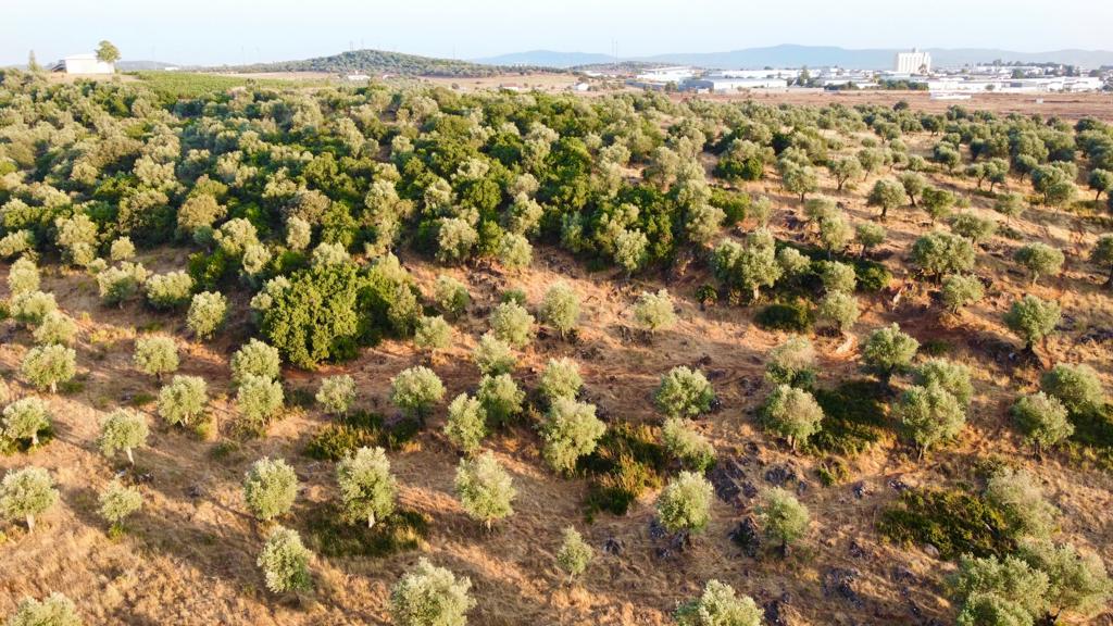 Terreno rústico com 135.500 m2 em solo urbano, urbanizável - em Estremoz - Image 6