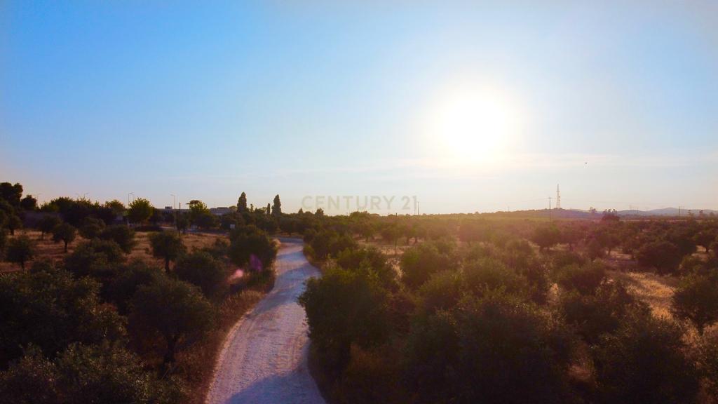 Terreno rústico com 135.500 m2 em solo urbano, urbanizável - em Estremoz - Image 8