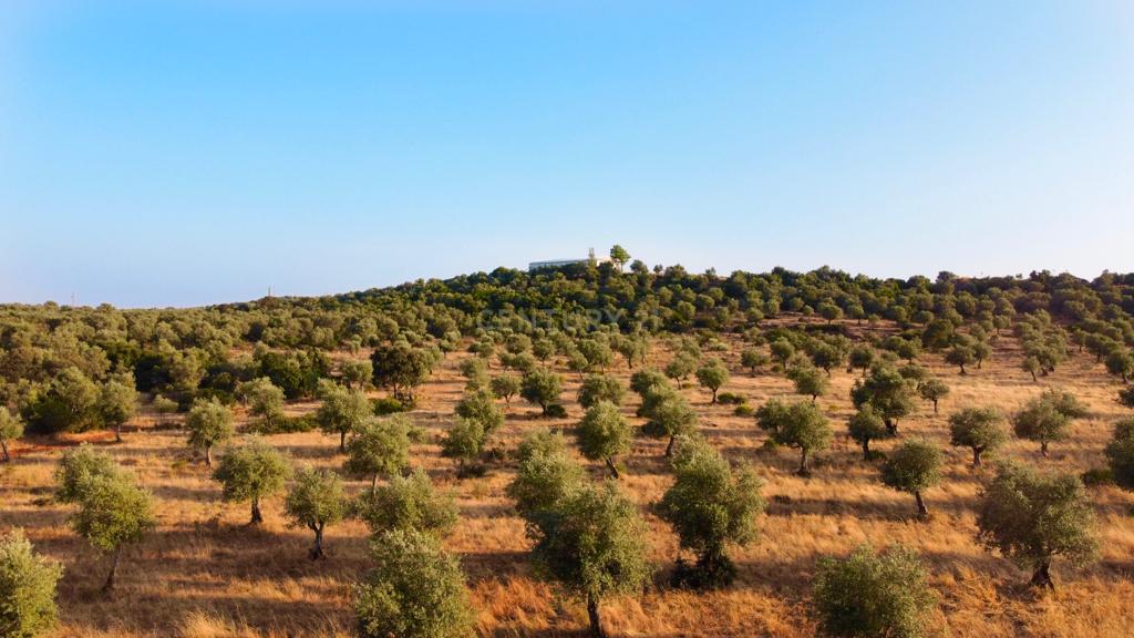 Terreno rústico com 135.500 m2 em solo urbano, urbanizável - em Estremoz - Image 1