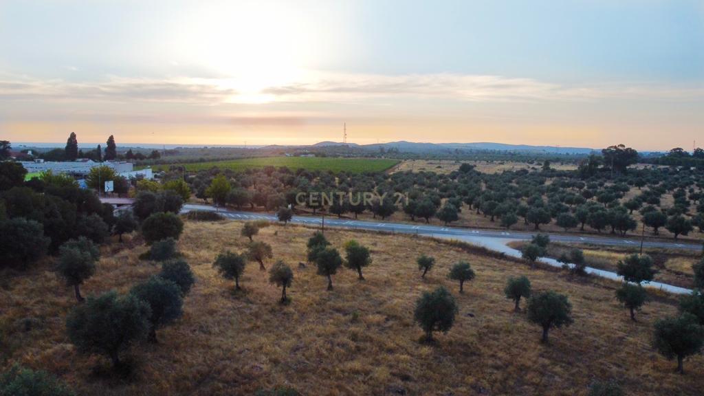 Terreno rústico com 135.500 m2 em solo urbano, urbanizável - em Estremoz - Image 3