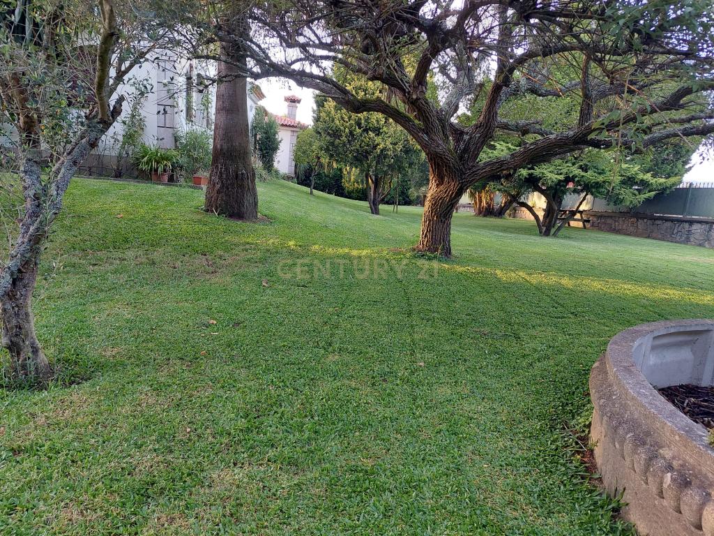 Moradia espectacular T8 em Forjães com 782 m2 constrúido e 4560 m2 de terreno - Image 21
