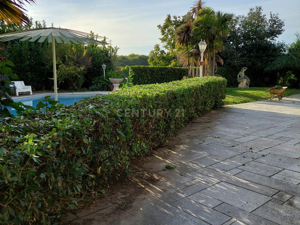 Moradia espectacular T8 em Forjães com 782 m2 constrúido e 4560 m2 de terreno - Image 22