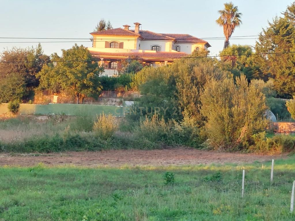 Moradia espectacular T8 em Forjães com 782 m2 constrúido e 4560 m2 de terreno - Image 41