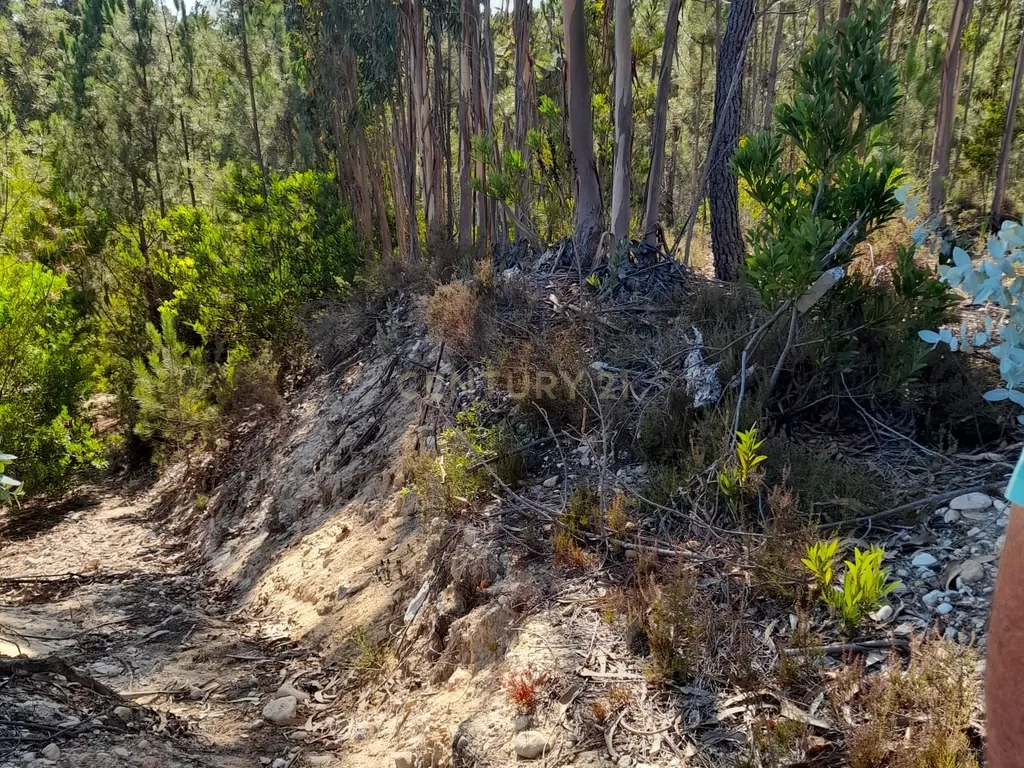 Terreno para venda em Leiria - Image 2