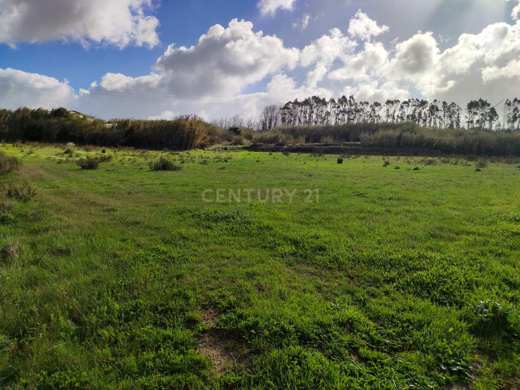 **Terreno rústico com 5920 m2  - Reguengo Pequeno - Lourinhã ** - Image 8