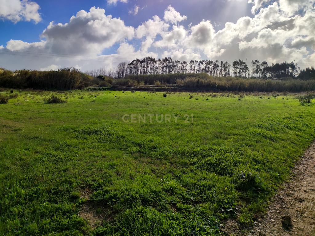 **Terreno rústico com 5920 m2  - Reguengo Pequeno - Lourinhã ** - Image 6