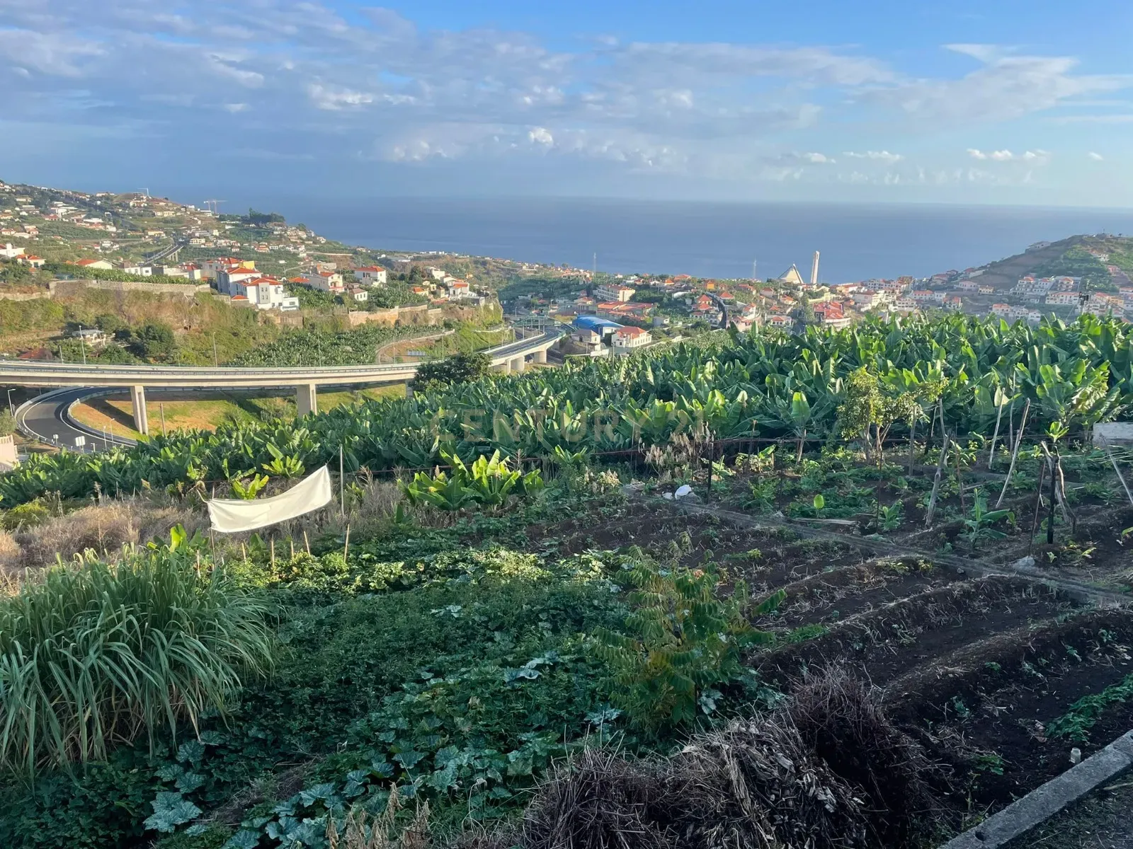 Terreno para construção, Câmara de Lobos, Ilha da Madeira - Image 1