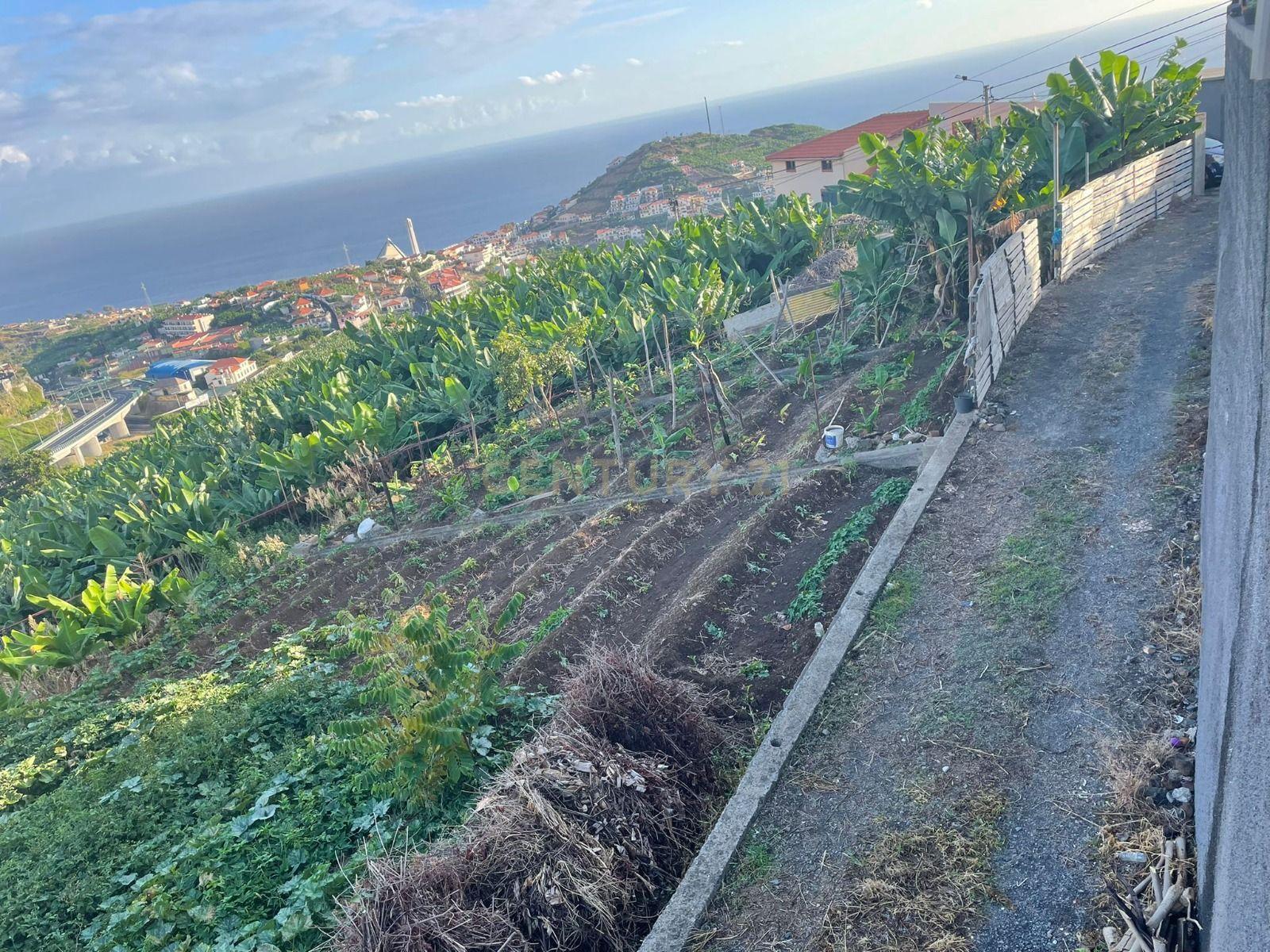 Terreno para construção, Câmara de Lobos, Ilha da Madeira - Image 3