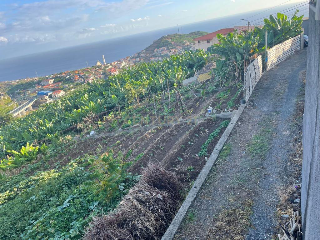 Terreno para construção, Câmara de Lobos, Ilha da Madeira - Image 3