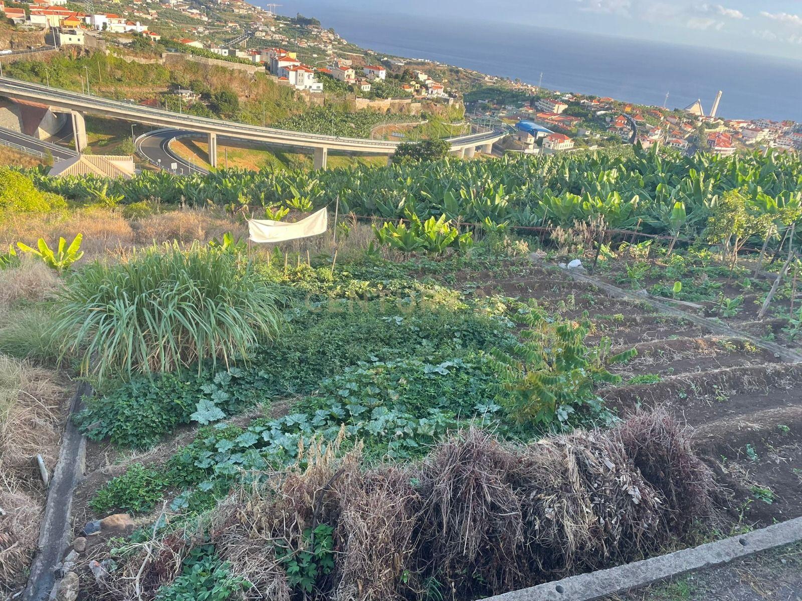 Terreno para construção, Câmara de Lobos, Ilha da Madeira - Image 4