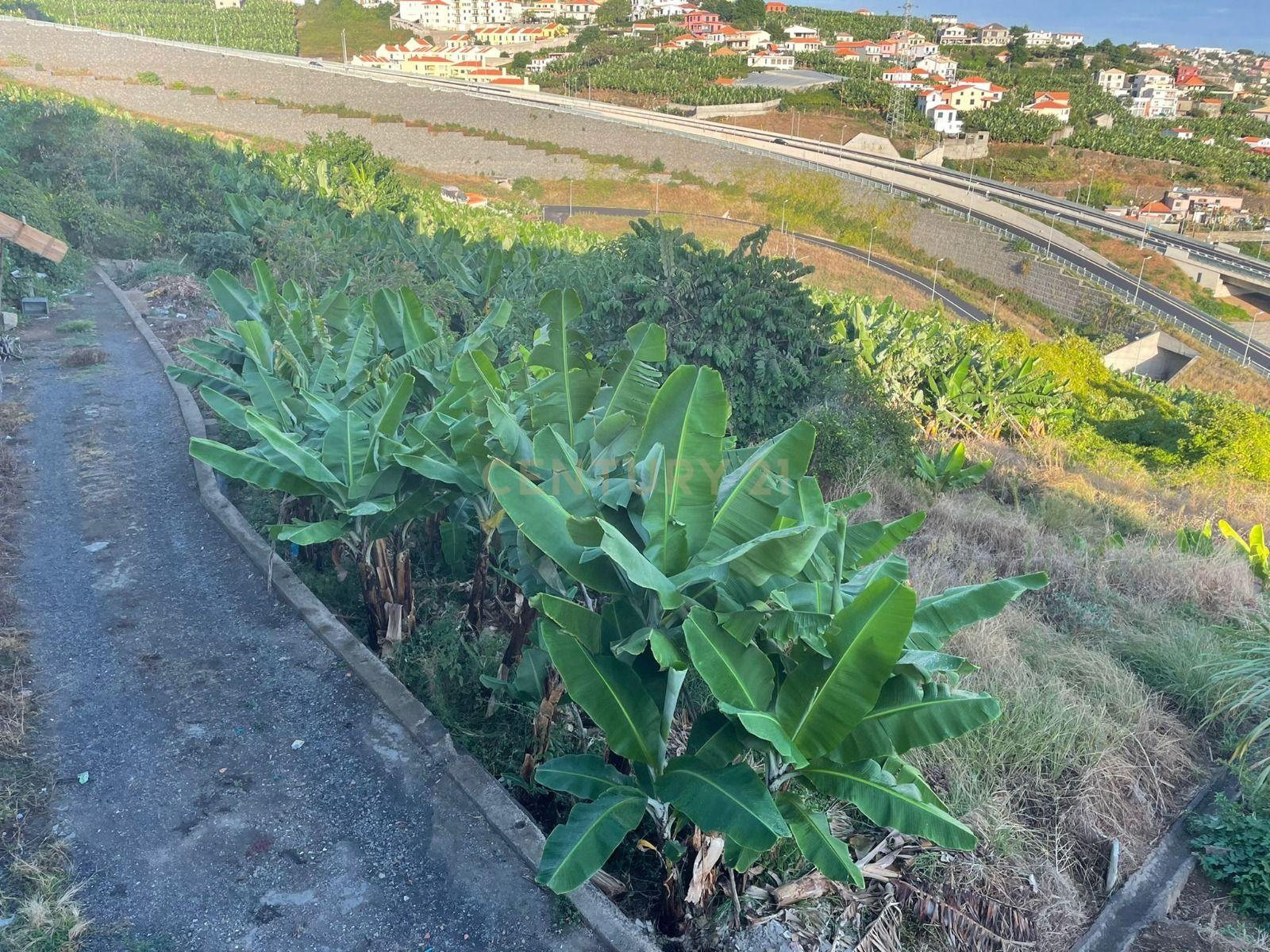 Terreno para construção, Câmara de Lobos, Ilha da Madeira - Image 5