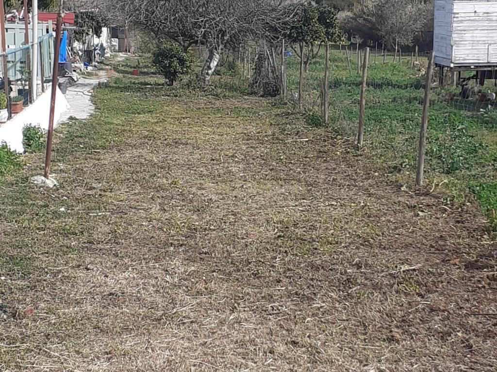 Moradia T1 em Vale de Figueira, Santarém - Image 21