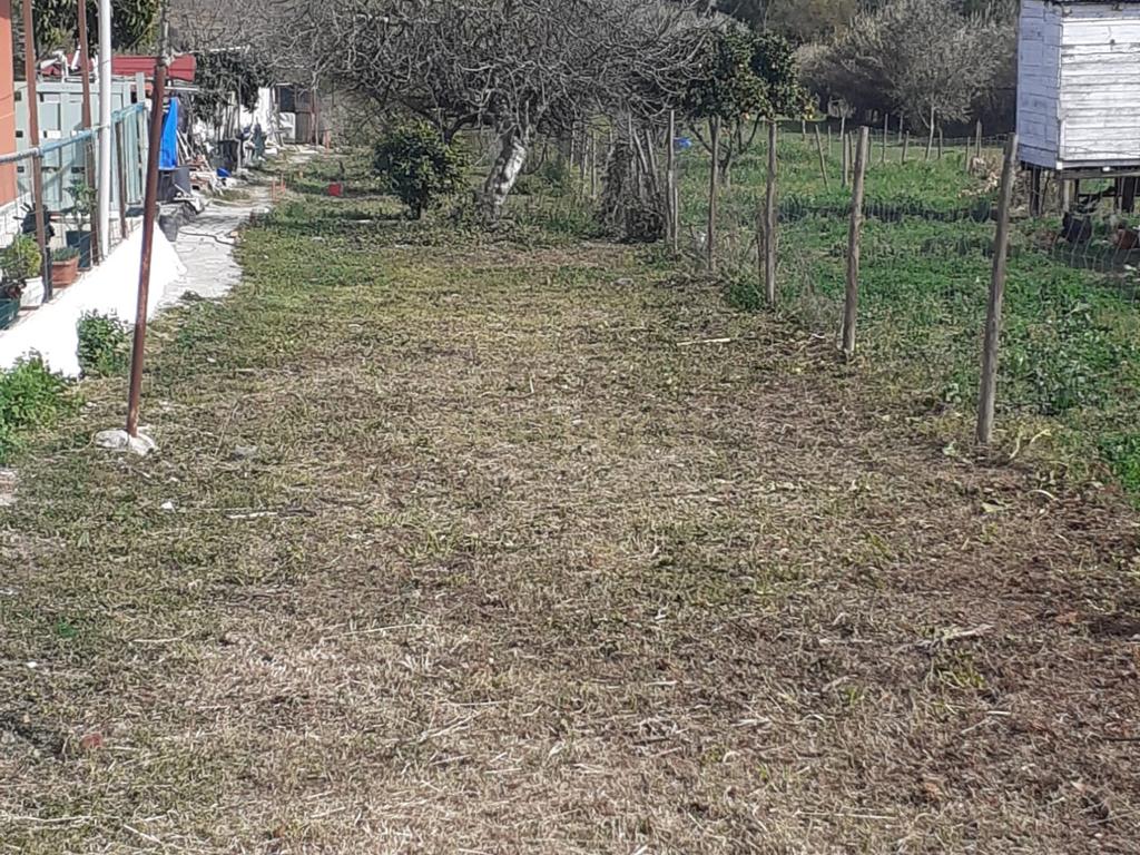 Moradia T1 em Vale de Figueira, Santarém - Image 15