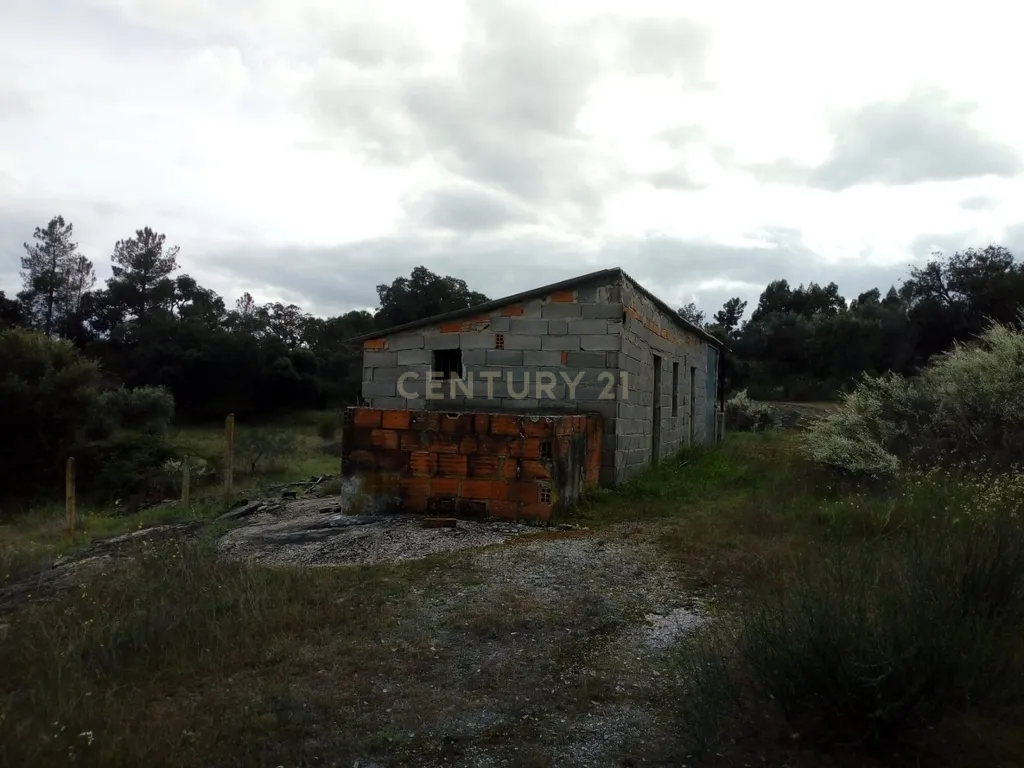 Terreno Rústico, Salgueiro do Campo - Image 1