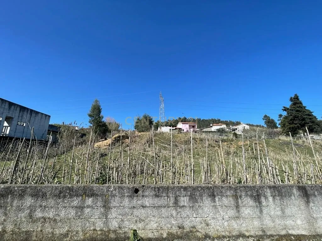 Terreno rústico para construção em Ribeira de Frades, São Martinho do Bispo - Image 8