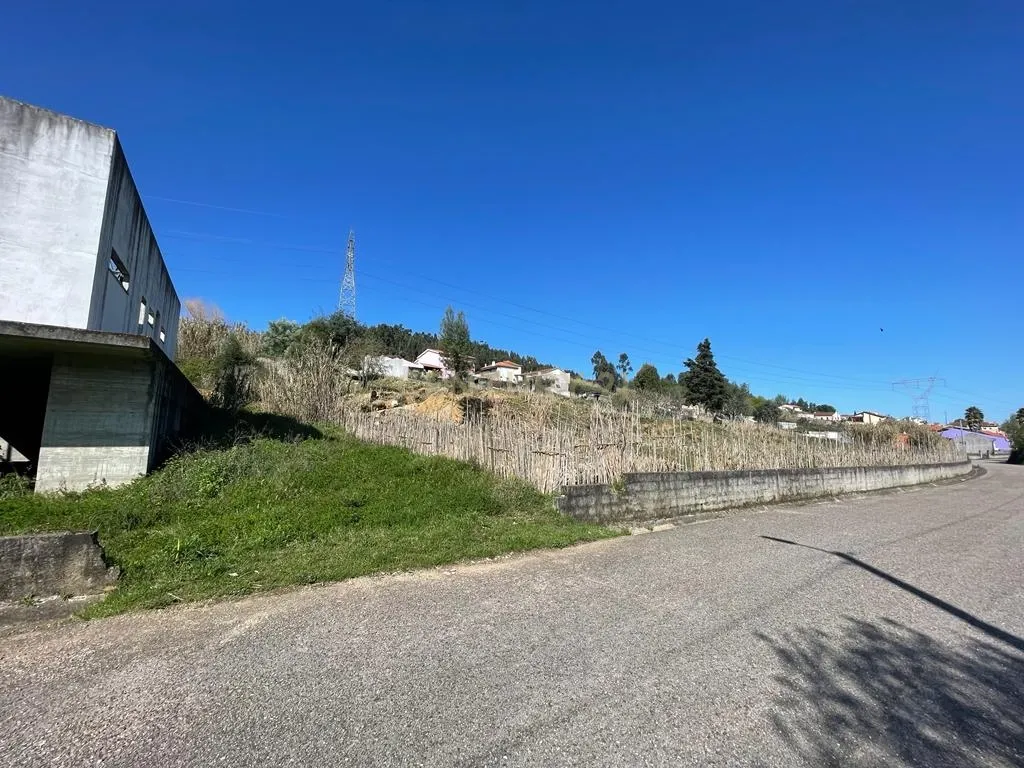 Terreno rústico para construção em Ribeira de Frades, São Martinho do Bispo - Image 10