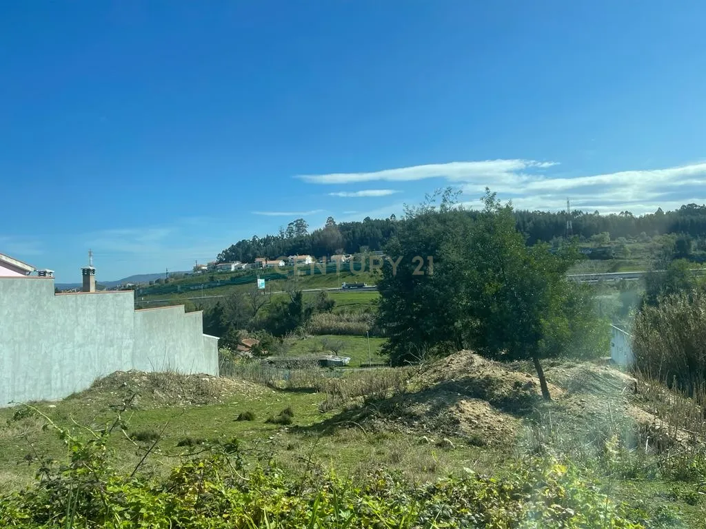Terreno rústico para construção em Ribeira de Frades, São Martinho do Bispo - Image 9