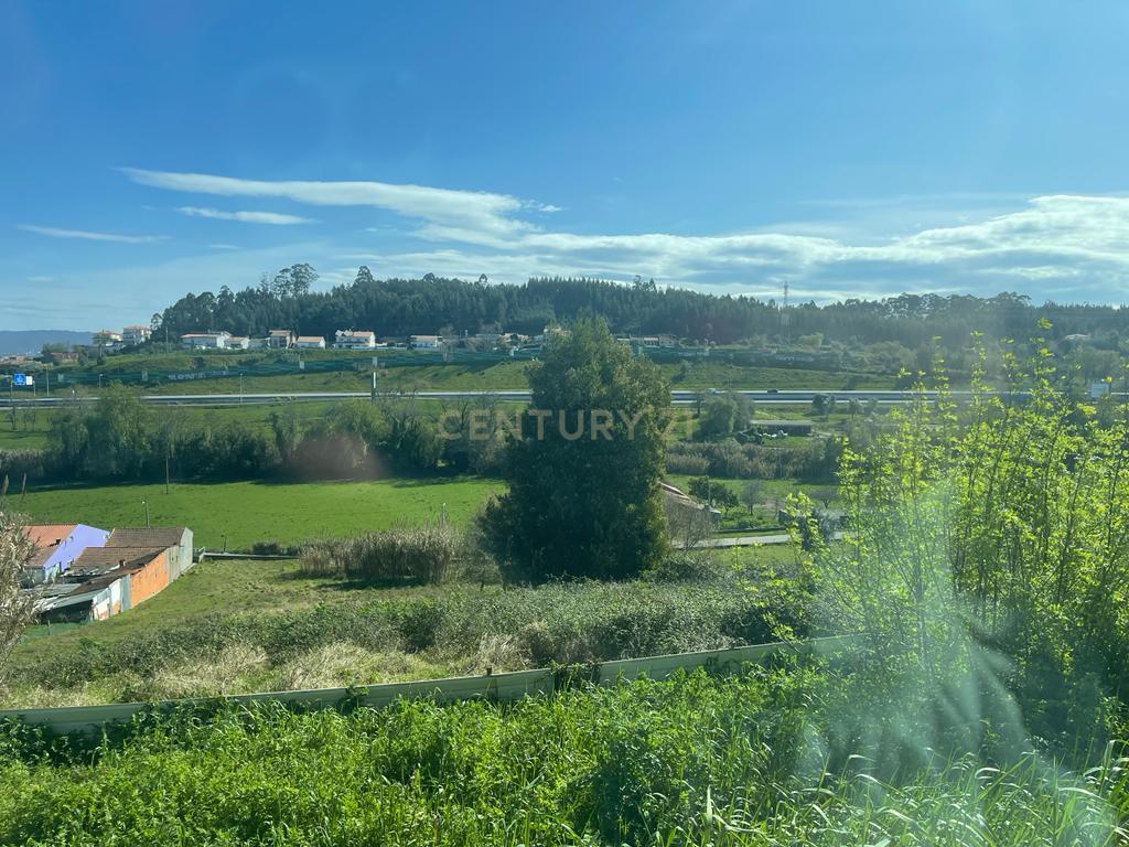 Terreno rústico para construção em Ribeira de Frades, São Martinho do Bispo - Image 7