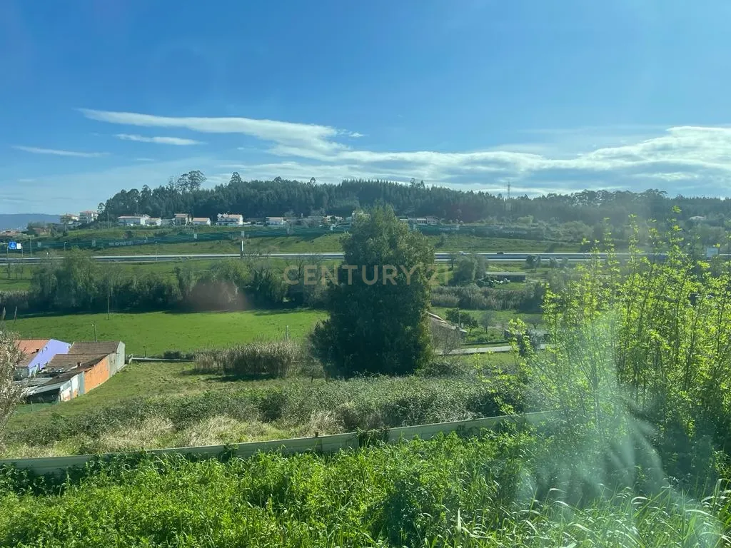 Terreno rústico para construção em Ribeira de Frades, São Martinho do Bispo - Image 7