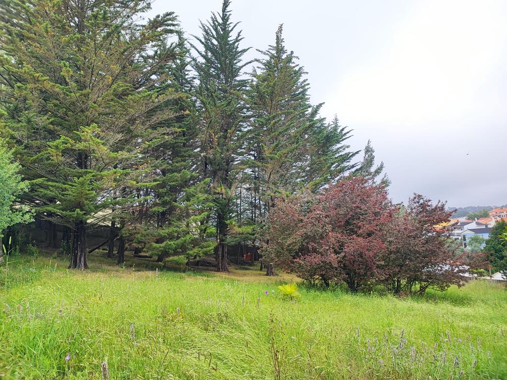 Terreno Rustico – Lourel Sintra - Image 13