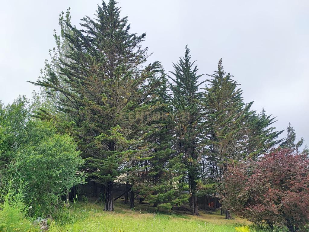 Terreno Rustico – Lourel Sintra - Image 12