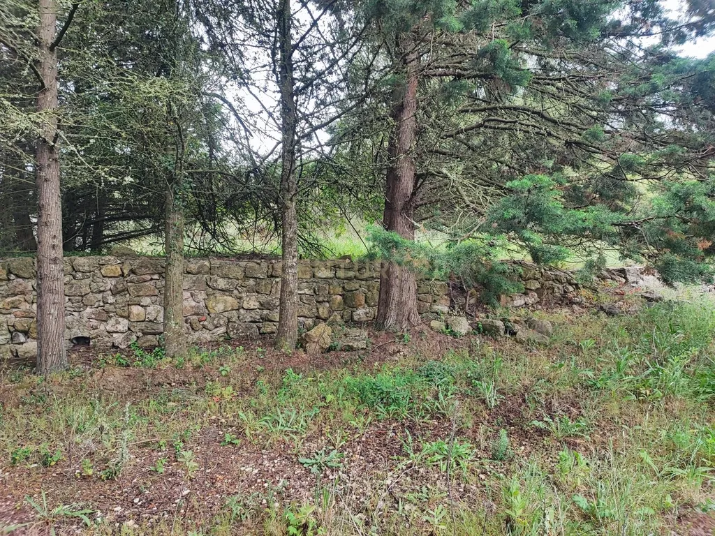 Terreno Rustico – Lourel Sintra - Image 17