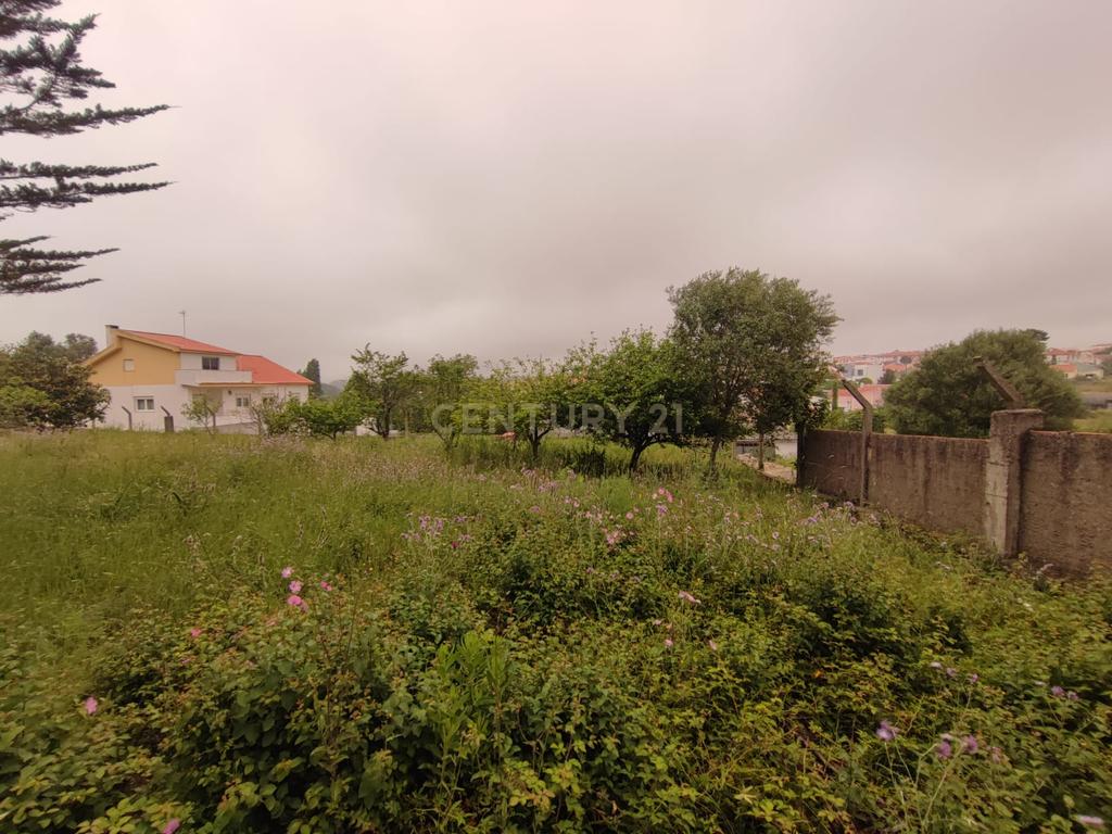 Terreno Rustico – Lourel Sintra - Image 15
