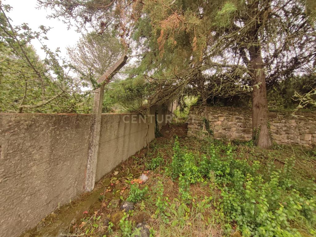 Terreno Rustico – Lourel Sintra - Image 16