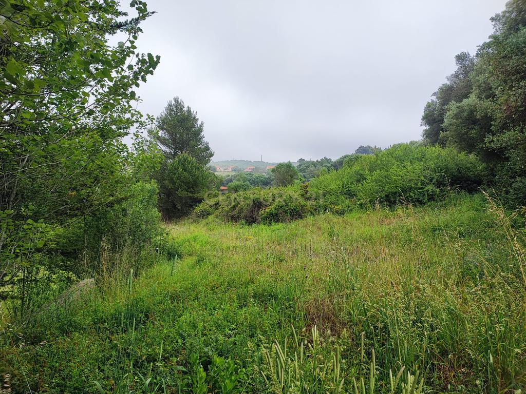 Terreno Rustico – Lourel Sintra - Image 4