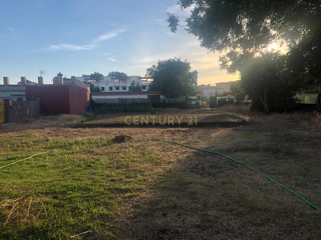 Lote de terreno à venda em Algeciras, Barrio Rinconcillo - Image 10