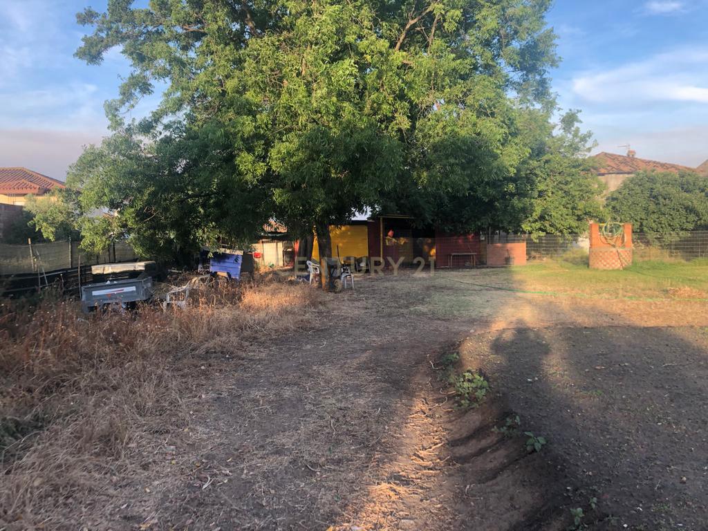 Lote de terreno à venda em Algeciras, Barrio Rinconcillo - Image 6