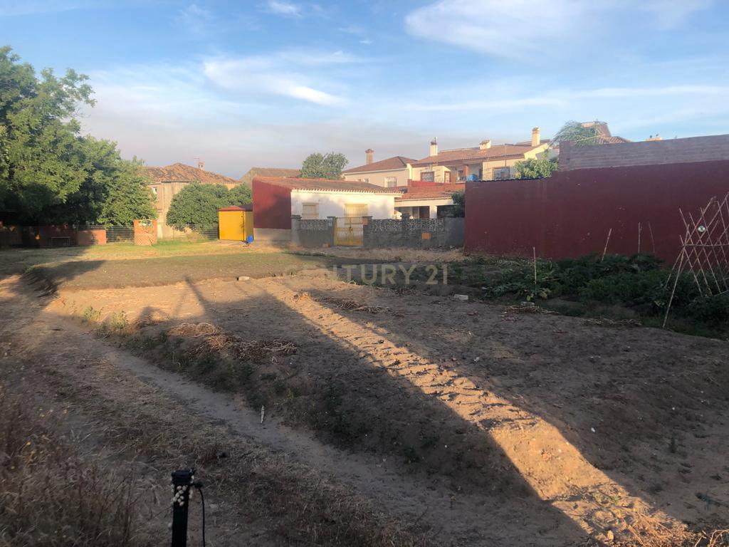 Lote de terreno à venda em Algeciras, Barrio Rinconcillo - Image 7