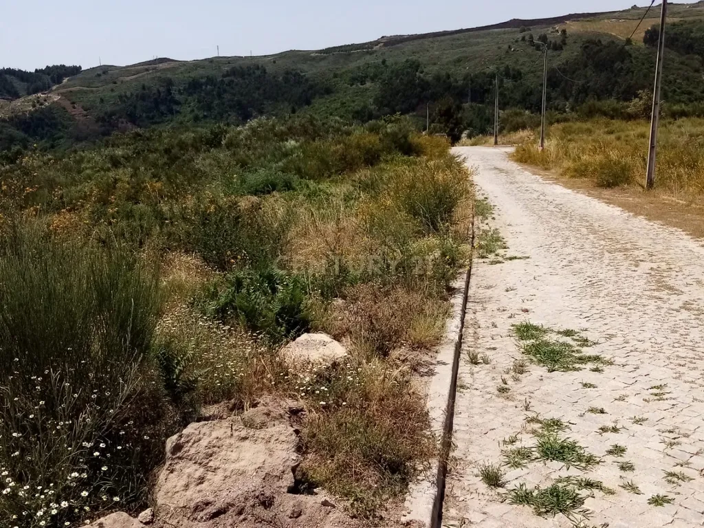 Parcela de Terreno com viabilidade de Construção em Grilo - Baião - Image 7