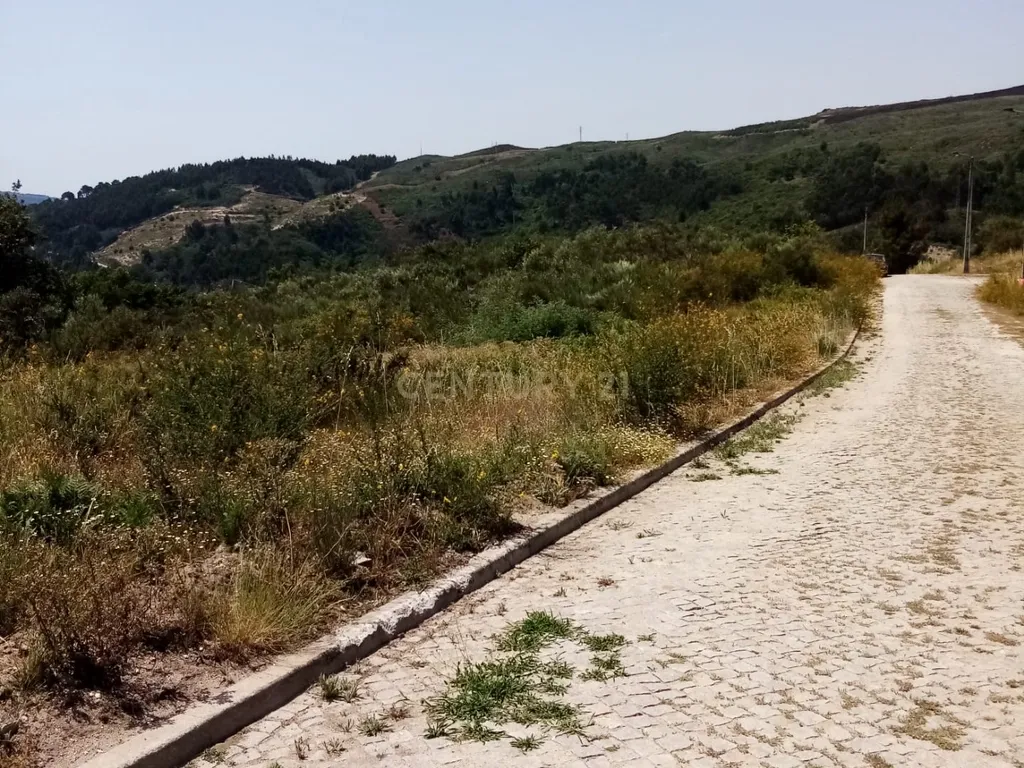 Parcela de Terreno com viabilidade de Construção em Grilo - Baião - Image 3