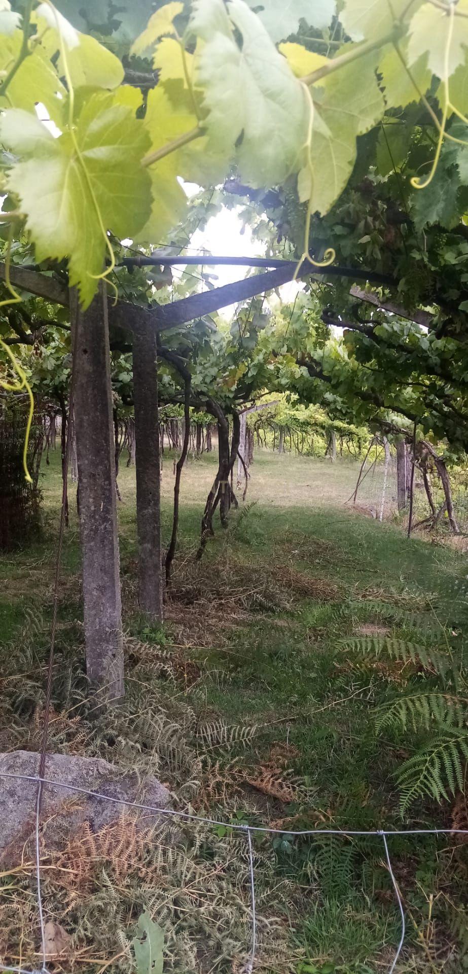 Terreno de 2860m2, localizado em zona urbana Sande, Marco de Canaveses - Image 12