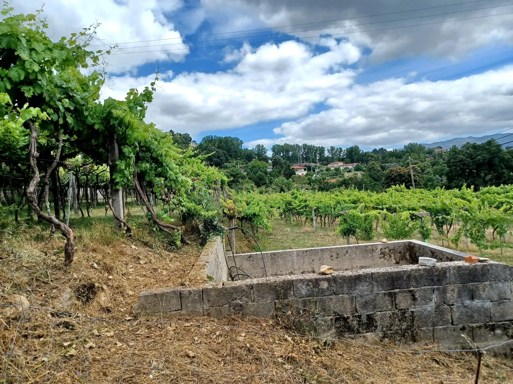 Terreno de 2860m2, localizado em zona urbana Sande, Marco de Canaveses - Image 5
