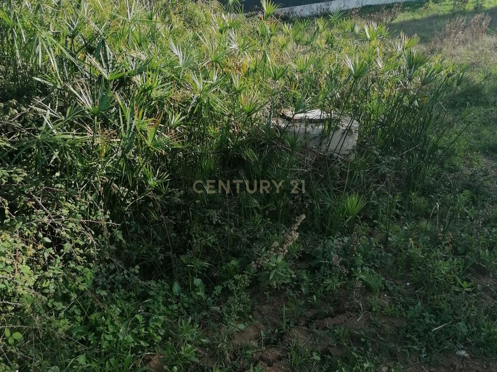 Lote de terreno urbano para construção na Quinta da Romeira, Caparica, 270 m2 - Image 5