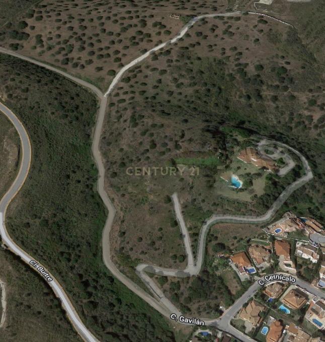 undefined - Image 3