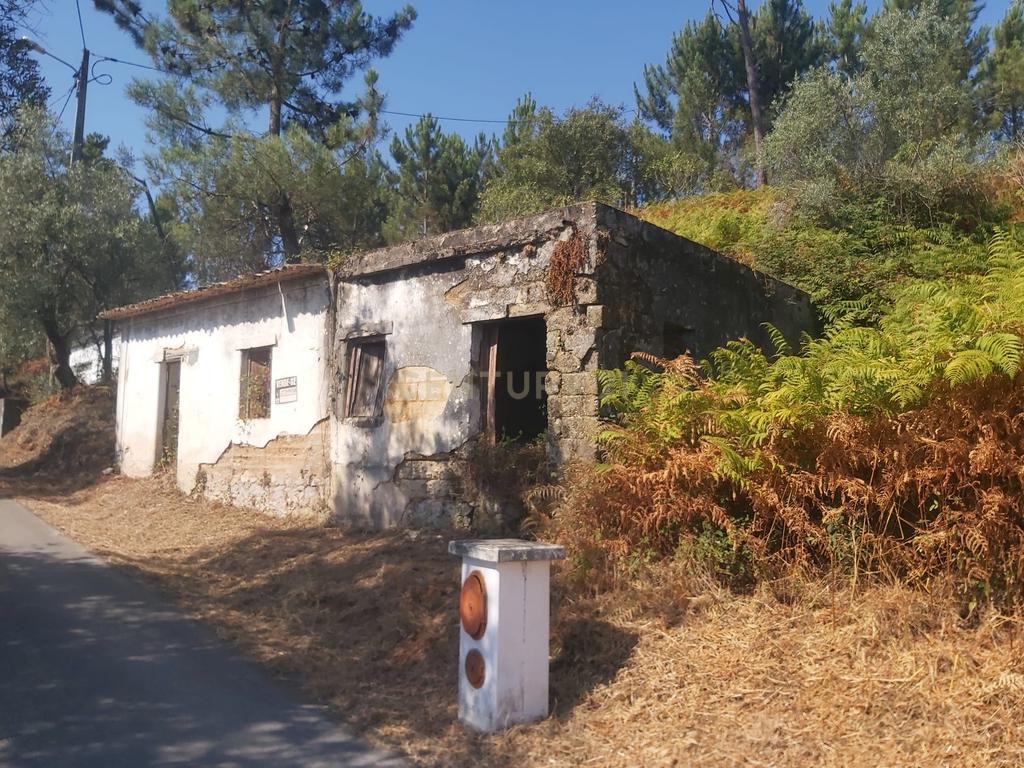 Terreno com casa em ruinas na lagoa de Santa Catarina - Image 2