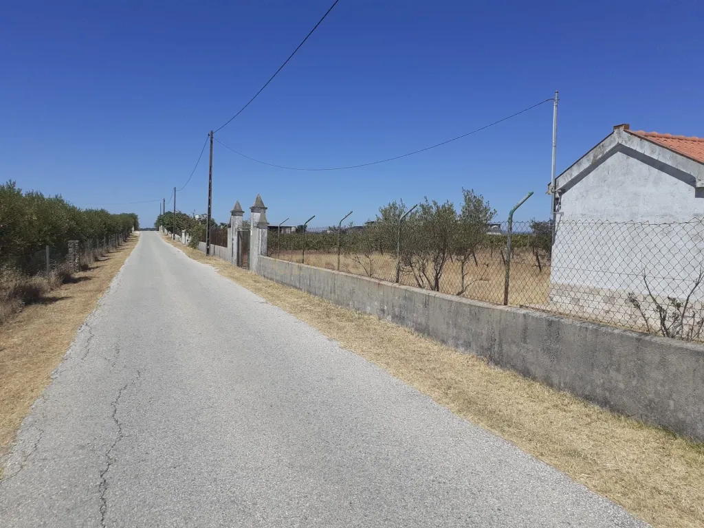 Courelas da Capela - Redondo - Image 7