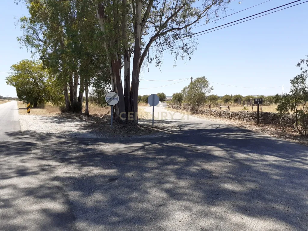 Courelas da Capela - Redondo - Image 5