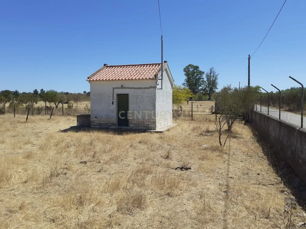 Courelas da Capela - Redondo - Image 12