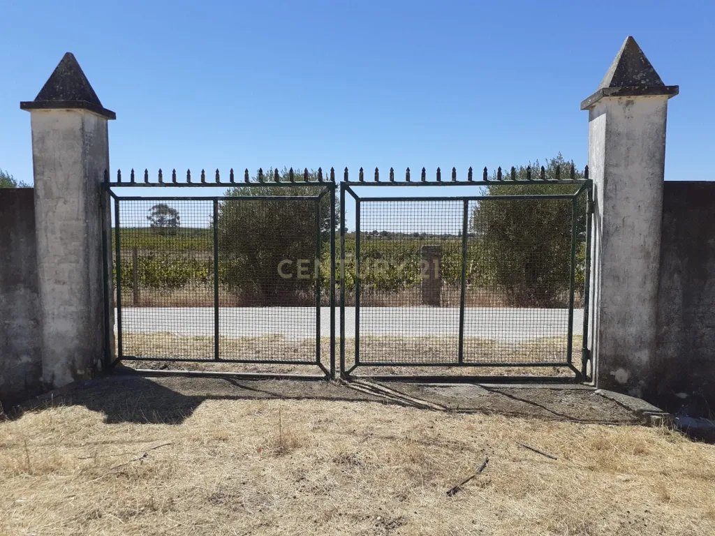 Courelas da Capela - Redondo - Image 2